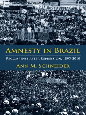 cover image of Amnesty in Brazil